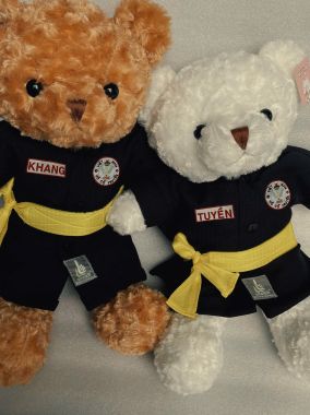 Gấu Bông Võ Cổ truyền Mặc Võ Phục 50cm Đồ Lưu Niệm Võ Thuật Sinh Nhật  siểu cute có Võ