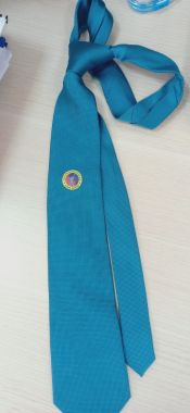 Cà Vạt Vovinam Thêu hoặc IN Logo Môn Phái, CLB Vovinam Ailaikit